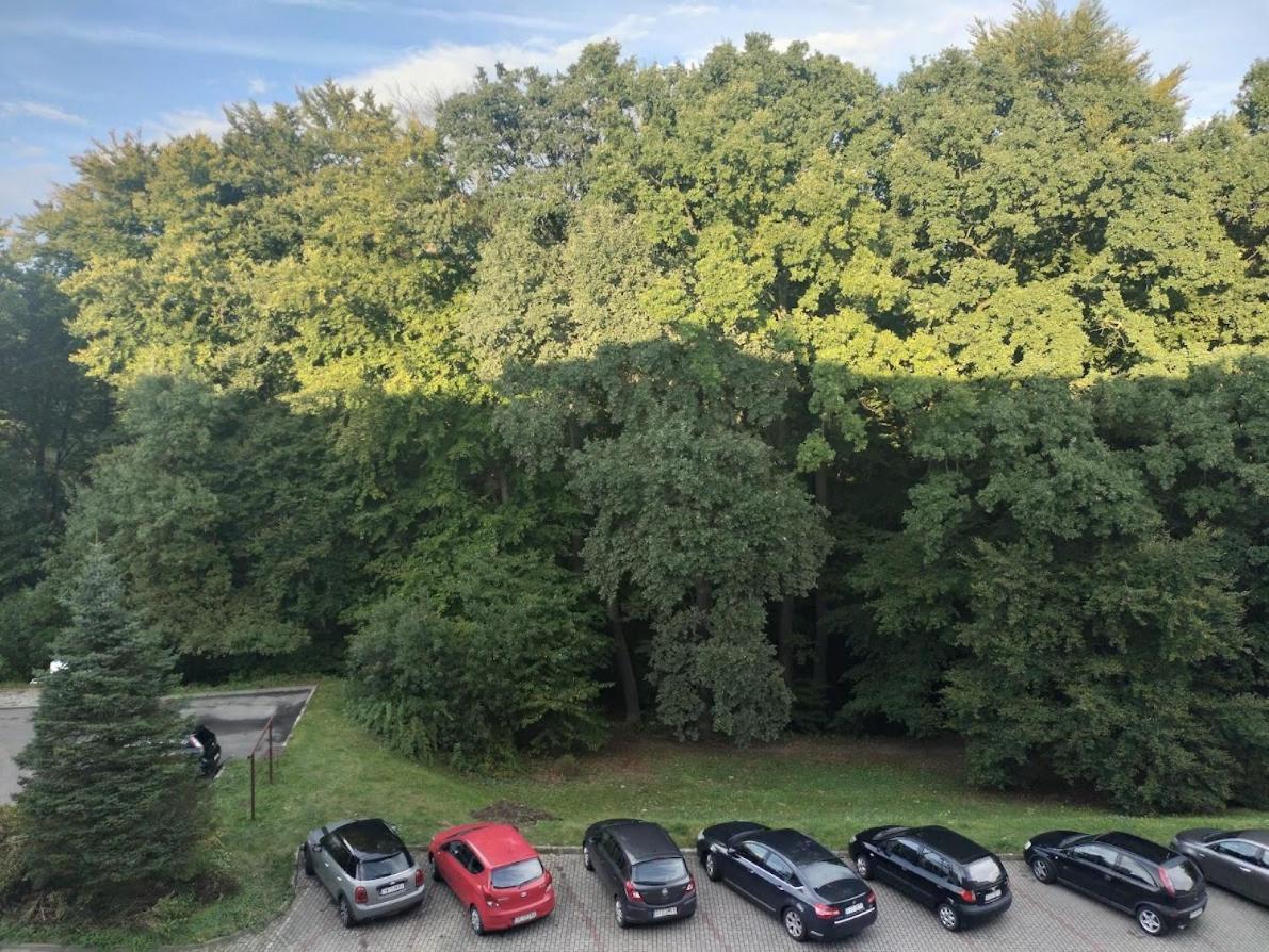 Nowoczesne Mieszkanie 63M2 Jastrzębie Zdrój Bagian luar foto